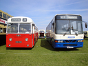NDB356_and_1431_WXI4431_Ulsterbus.jpg