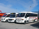 13-DSC08153.JPG