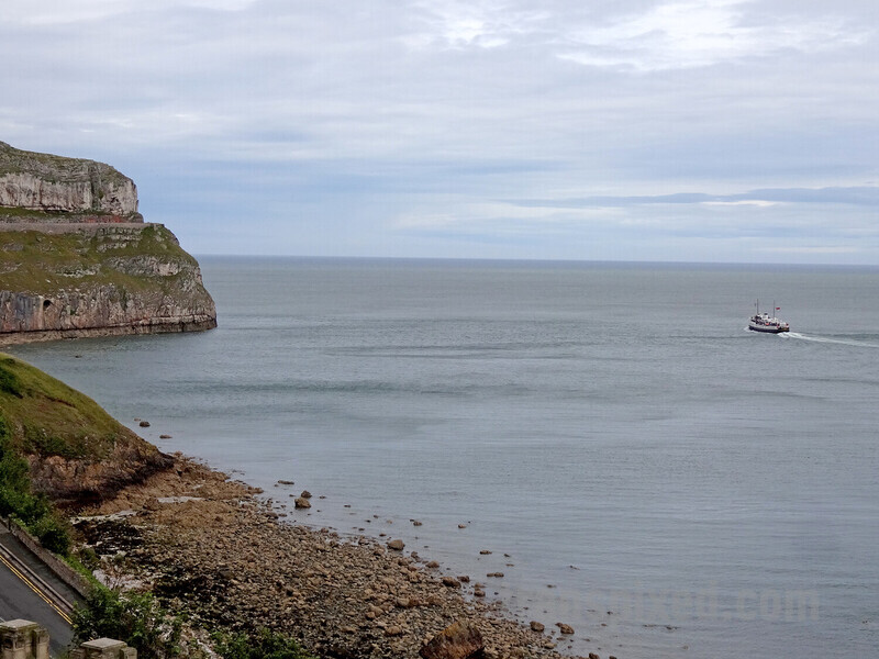 Click to view full size image