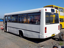 DSC03100.JPG