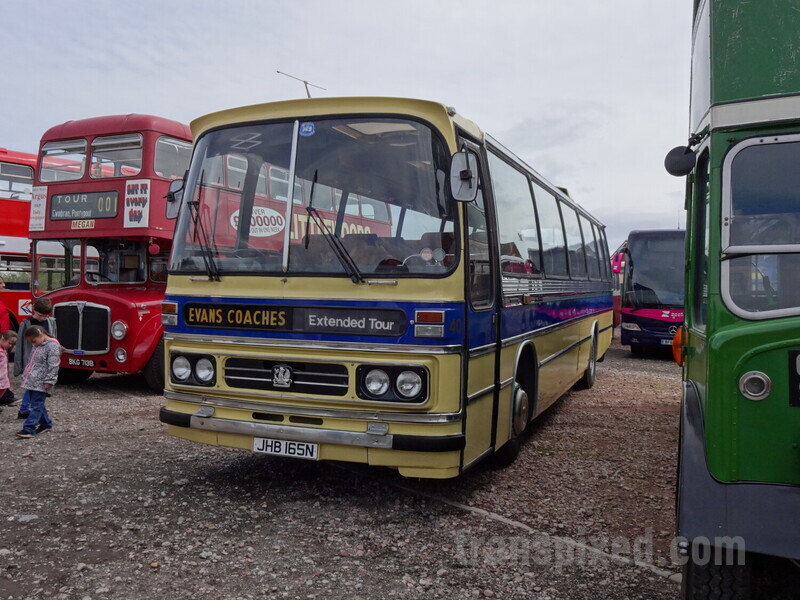 Click to view full size image